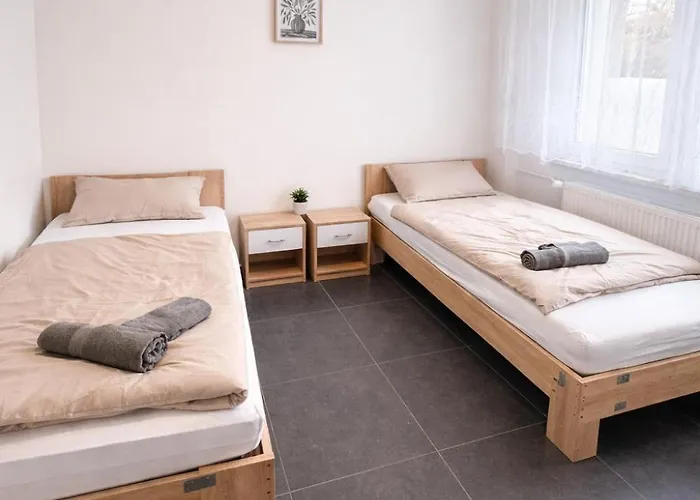 Gasthof Frankfurt Airport View 3*