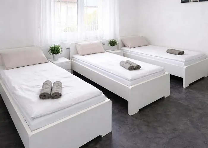 Gasthof Frankfurt Airport View 3*